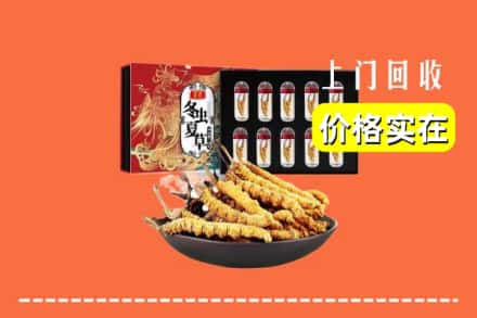 海南省乐东县回收冬虫夏草